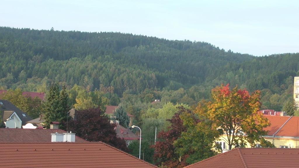Mariánské Lázně Apartments Meixner מראה חיצוני תמונה